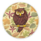 Owl Cartoon Keramische Knop (Voorkant)