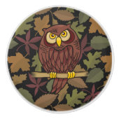 Owl Cartoon Keramische Knop (Voorkant)