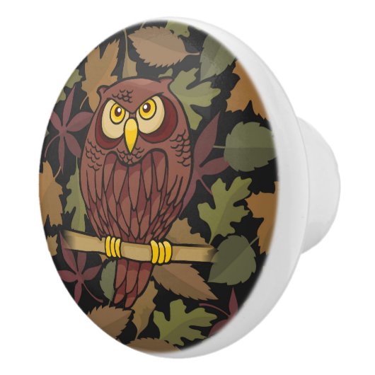 Owl Cartoon Keramische Knop (Rechts)