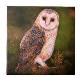 Owl Ceramic Tile Tegeltje (Voorkant)