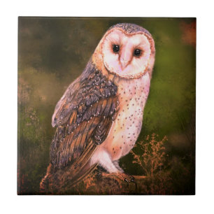 Owl Ceramic Tile Tegeltje