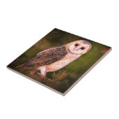 Owl Ceramic Tile Tegeltje (Zijkant)