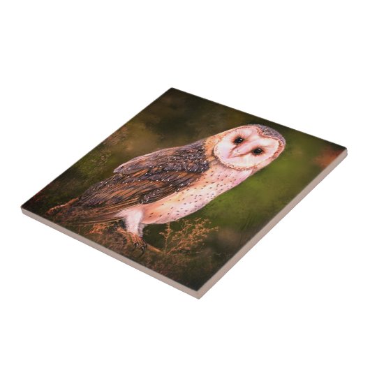 Owl Ceramic Tile Tegeltje (Zijkant)