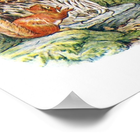 Owl Children's Book Illustration Poster (Hoek)