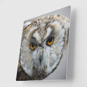 Owl Clock Vierkante Klok (Hoek)
