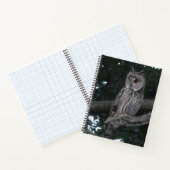 Owl Close-up Notitieboek (Binnen)