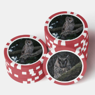 Owl Close-up Poker Chip