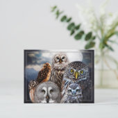Owl Collage Briefkaart (Staand voorkant)