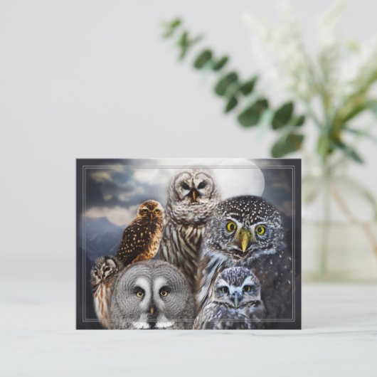 Owl Collage Briefkaart (Staand voorkant)