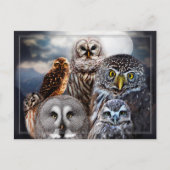 Owl Collage Briefkaart (Voorkant)