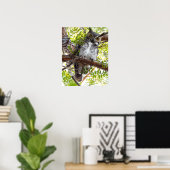Owl die neer van Tak kijkt Poster (Thuiskantoor)