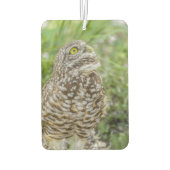 Owl die op de luchtverfrisser kijkt (Achterkant)