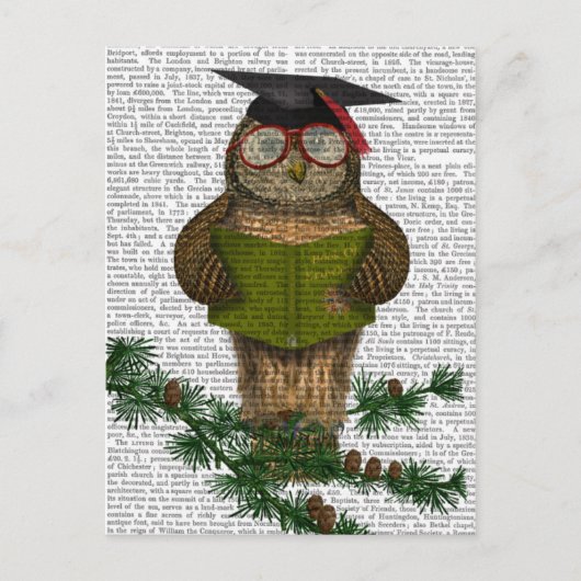 Owl die op Tak lezen Briefkaart (Voorkant)
