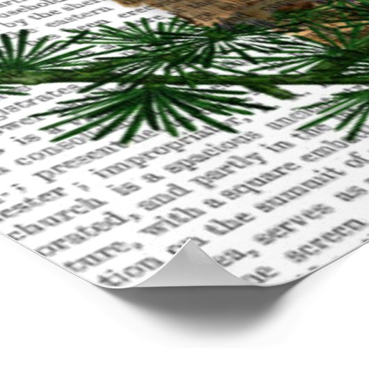 Owl die op Tak lezen Poster (Hoek)