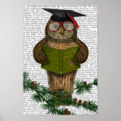 Owl die op Tak lezen Poster (Voorkant)