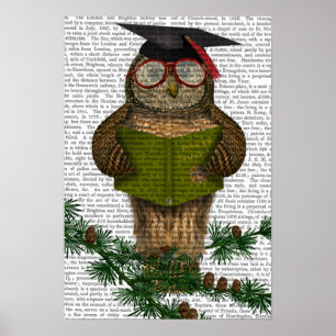 Owl die op Tak lezen Poster