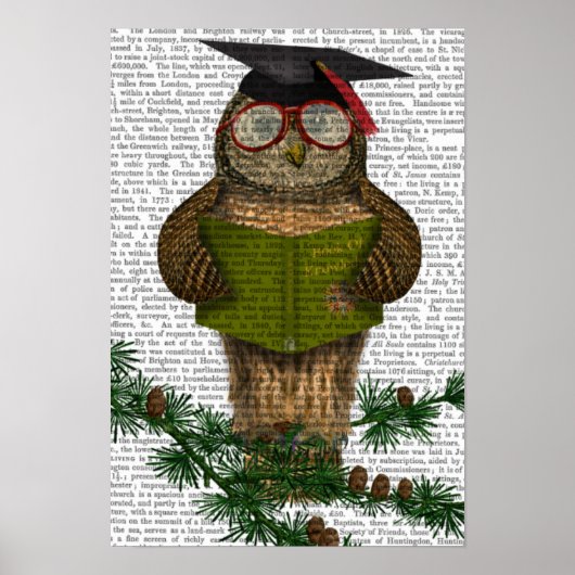 Owl die op Tak lezen Poster (Voorkant)