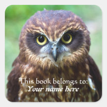 Owl "Dit boek behoort tot" Sticker