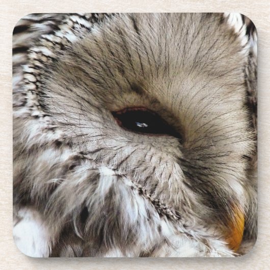 OWL DRANKJES ONDERZETTER (Voorkant)