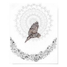 Owl Dreams 8x10 Print