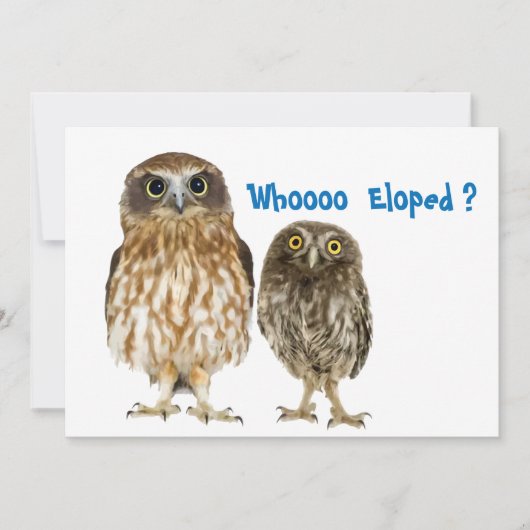 Owl Duo die ophield Aankondiging (Voorkant)