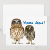 Owl Duo die ophield Aankondiging (Voorkant / Achterkant)