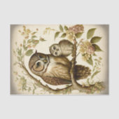 Owl en Baby Tissuepapier (Voorkant)