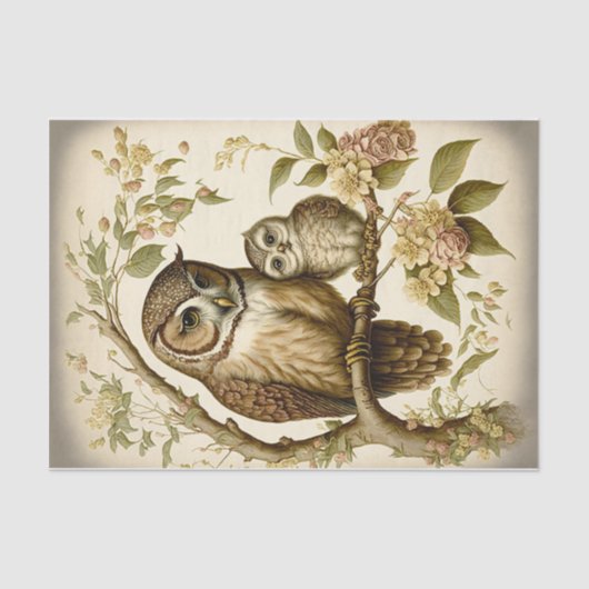 Owl en Baby Tissuepapier (Voorkant)