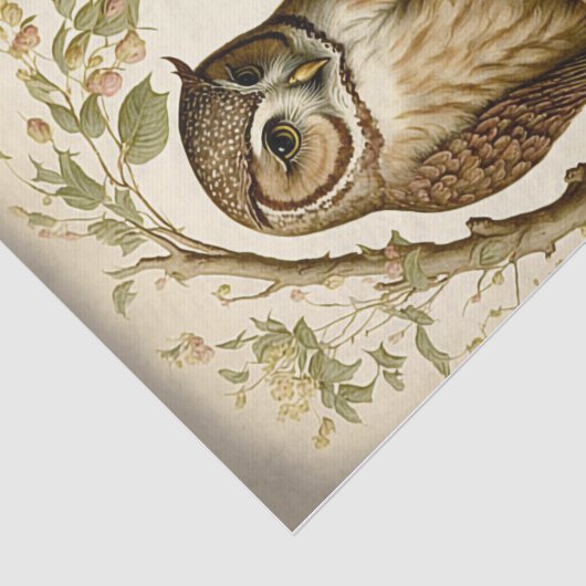 Owl en Baby Tissuepapier (Detail)