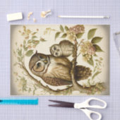 Owl en Baby Tissuepapier (Craft)