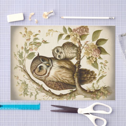 Owl en Baby Tissuepapier (Craft)