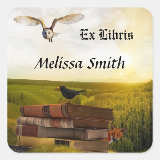 Owl en boeken toevoegen naam Ex libris Vierkante Sticker (Voorkant)