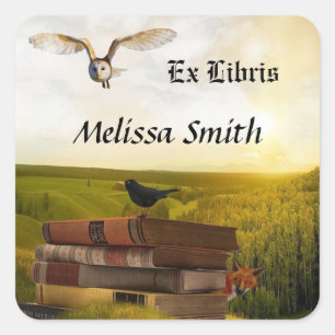 Owl en boeken toevoegen naam Ex libris Vierkante Sticker