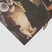 Owl en Cat Halloween Tissuepapier (Detail)