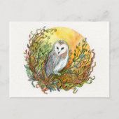 Owl en de maan briefkaart (Voorkant)