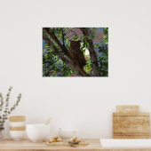 Owl en de Maan Druk Poster (Keuken)