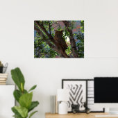 Owl en de Maan Druk Poster (Thuiskantoor)