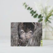 Owl en eigenaar briefkaart (Staand voorkant)