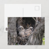 Owl en eigenaar briefkaart (Voorkant / Achterkant)