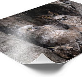 Owl en eigenaar foto afdruk (Hoek)