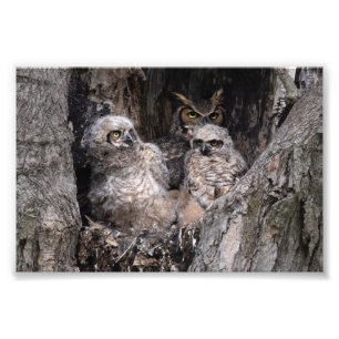 Owl en eigenaar foto afdruk