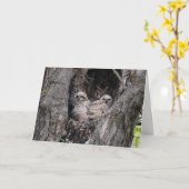 Owl en eigenaar kaart (Gele Bloem)