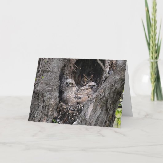 Owl en eigenaar kaart (Voorkant)