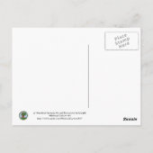 Owl en eik Tree Whimsical Cartoon Art Briefkaart (Achterkant)