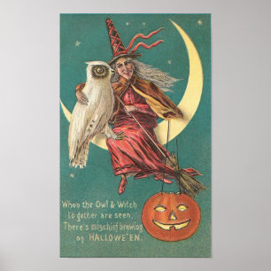 Owl en heks poster