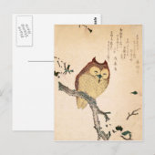 Owl en magnolia - Kobushi ni mimizuku Briefkaart (Voorkant / Achterkant)