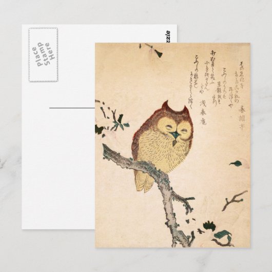 Owl en magnolia - Kobushi ni mimizuku Briefkaart (Voorkant / Achterkant)