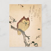 Owl en magnolia - Kobushi ni mimizuku Briefkaart (Voorkant)