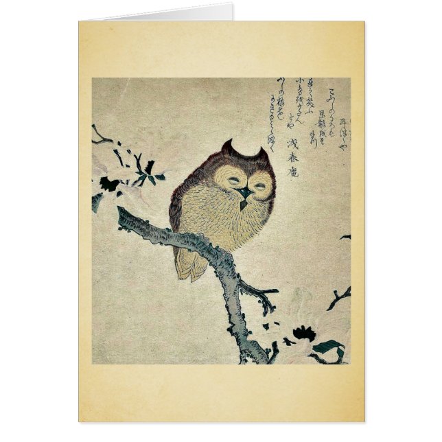 Owl en magnolia Ukiyoe (Voorkant)