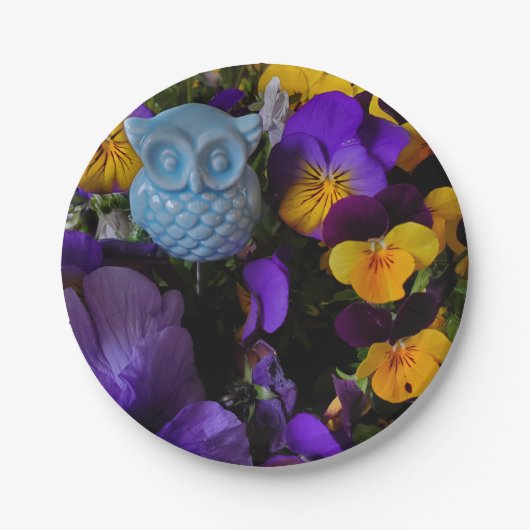 Owl en pansies papieren bordje (Voorkant)